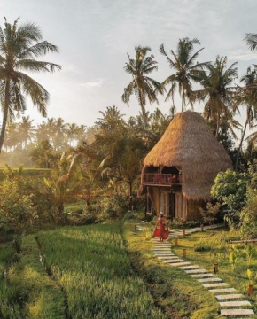 DD Bamboo Lodge